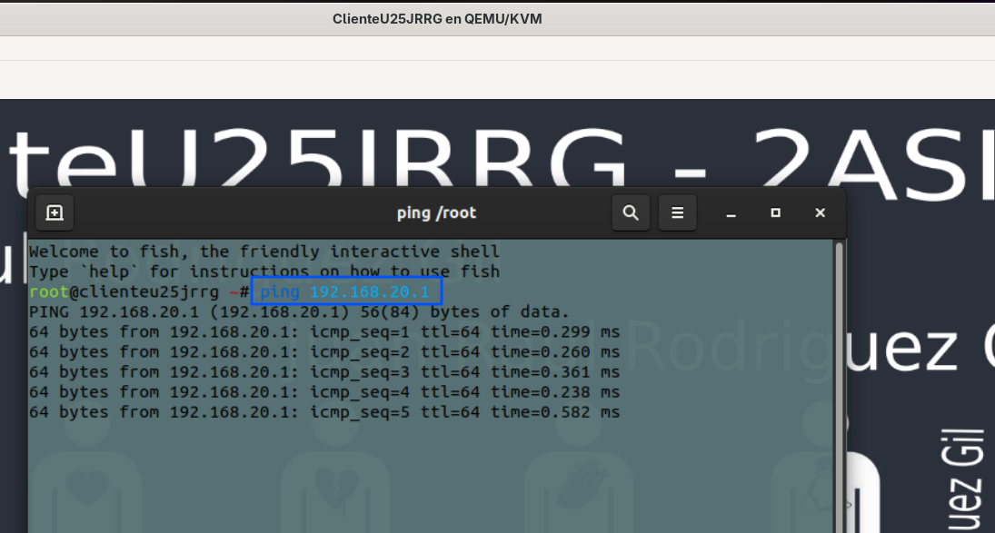 Ping