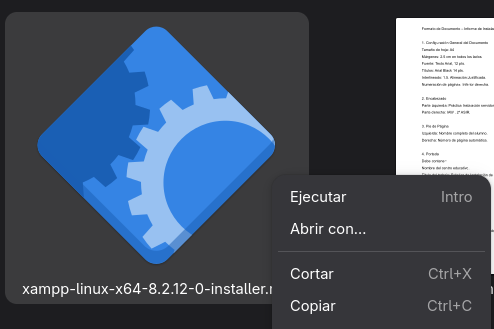 Ejecutar