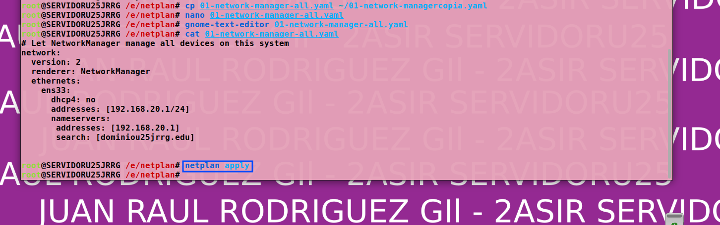 netplan