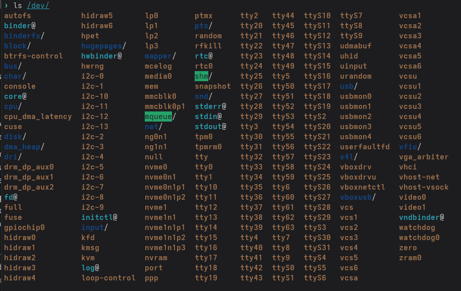 ls /dev