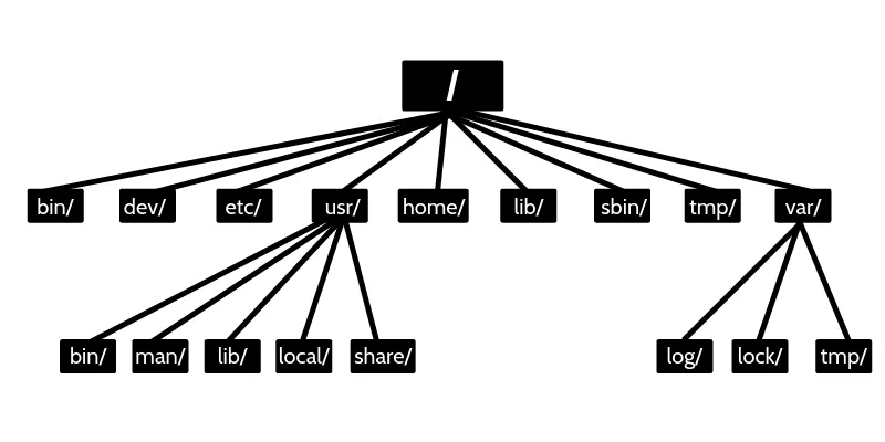 Arbol de directorios
