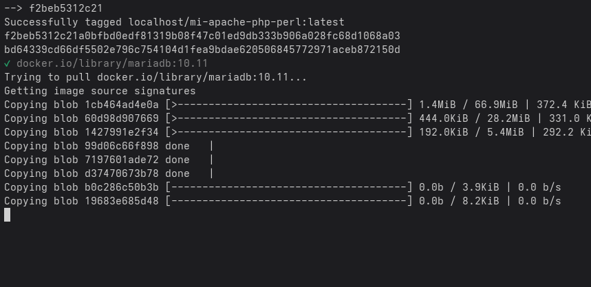 levantando_servicios